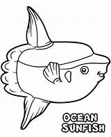 Coloring Sunfish Ocean Topcoloringpages Print sketch template