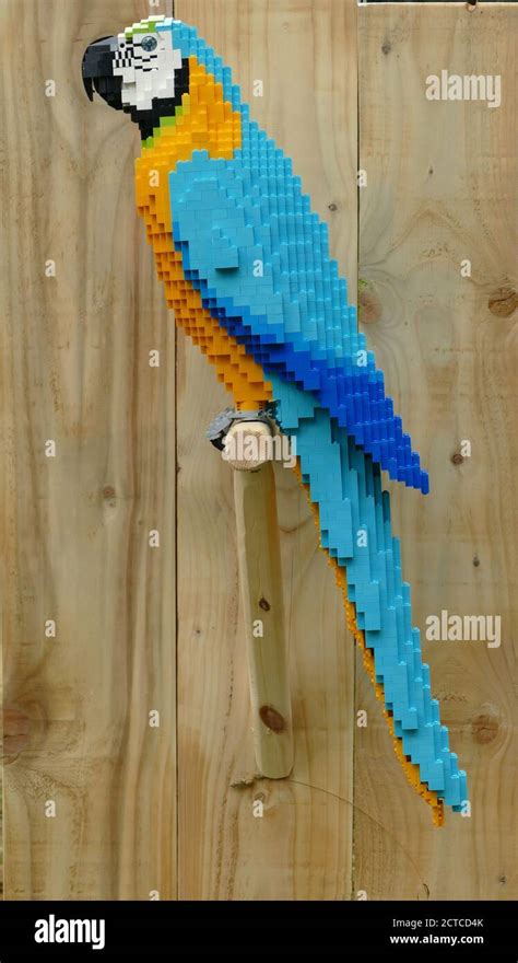 lego mc caw parrot  res stock photography  images alamy
