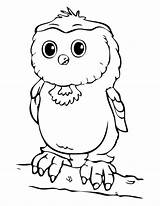 Owl Coloring Babies Horned Pages Great Getcolorings Library Color Comments sketch template