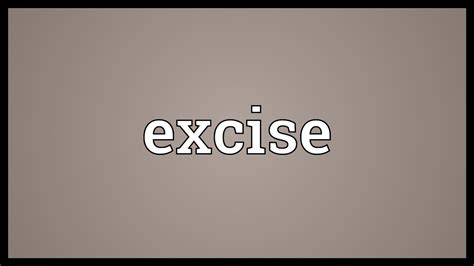 excise meaning youtube