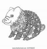 Pig Zen Tangle Zentangle Doodle Afficher Aperçu sketch template