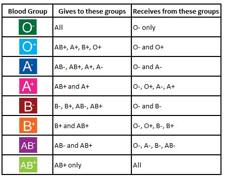 blood groups  blood types  blog