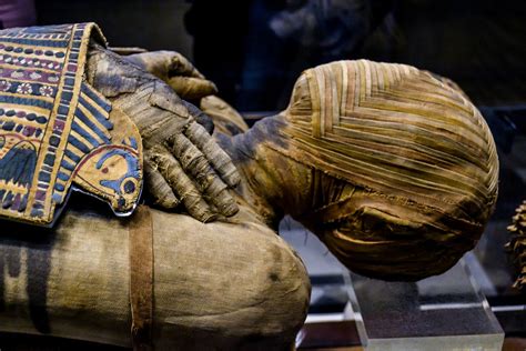 Ancient Egyptian Mummy Hair