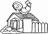 Coop Chicken Coloring Pages Rooster Crowing Netart Color Barn sketch template