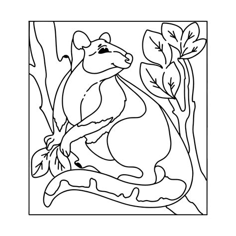 coloring page tree kangaroo   print