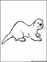 Otter Coloring Pages River Sea Printable Drawing Activities Otters Zoo Asian Animal Animals Kids Colouring Clipart Color Preschool Moana Fun sketch template