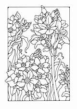 Coloring Lily Edupics Pages Printable Flower Large Da Choose Board Salvo sketch template
