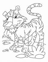 Coloring Tiger Pages Baby Sumatran Cute Cartoon Comments Library Popular Coloringhome sketch template