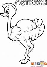Ostrich Coloring Kidocoloringpages sketch template