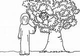 Coloring Zacchaeus Pages Jesus Saw Zaccheus Printable Clip Clipart Colouring Tree Library Popular Luke Zacheus Comments Getcolorings Coloringhome Kids Color sketch template