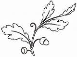 Oak Stencil Leaf Printable sketch template