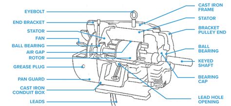 dayton motor parts diagram diagram  source