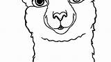 Llama Llamacorn Alpaca Clipartmag sketch template