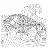 Coloring Urchin Sea Kelp Getcolorings Getdrawings Pages Colorings sketch template