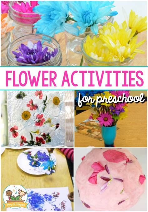 flower activities  preschool pre  pages