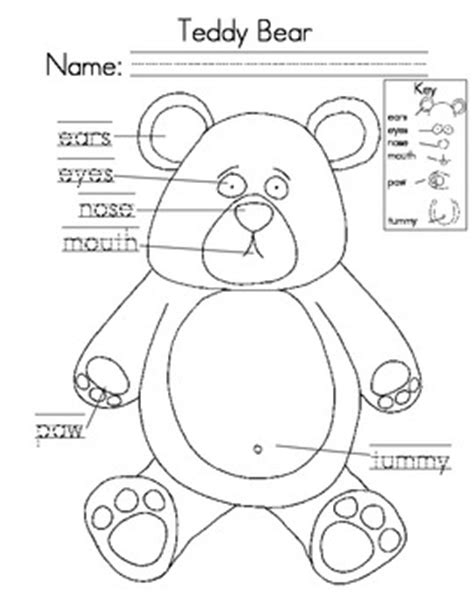 teddy bear day activities  createlearn teachers pay teachers
