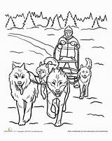 Coloring Dog Sled Pages Dogs Worksheets Sledding Team Drawing Education Teamwork Sheets Adult Snow Color Winter Colouring Animal Husky Iditarod sketch template