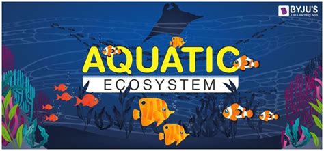 aquatic ecosystem types  aquatic ecosystem   adaptations