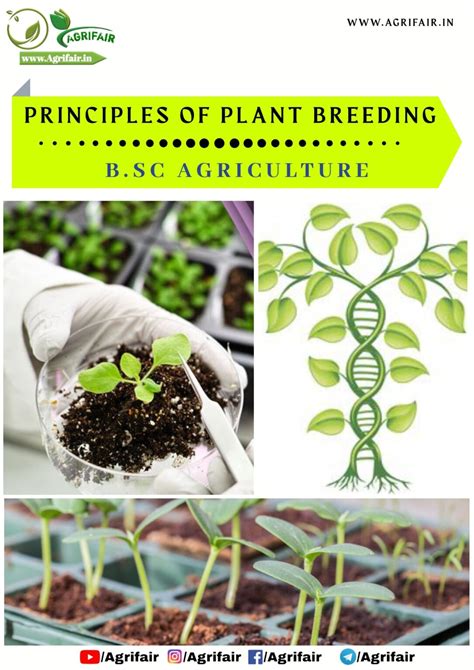 principles  plant breeding  agrifair