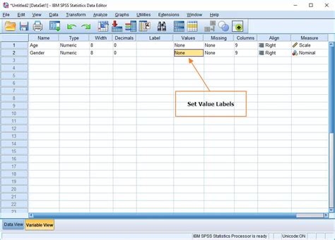 display  labels  spss easy spss tutorial