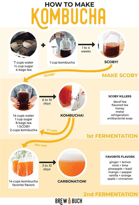 ever wondered how kombucha the deliciously fizzy fermented tea is