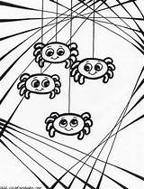 Coloring Pages Spider Spiders Baby Printable Kids sketch template