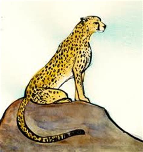 cheetahs animal jam fanon wiki