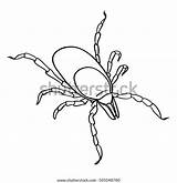 Tick Parasites Mite Parasite sketch template