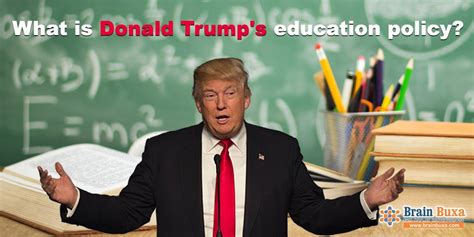 donald trump plans    education   education article blog