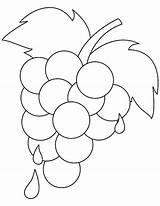 Grapes Grape Colorluna Luna sketch template