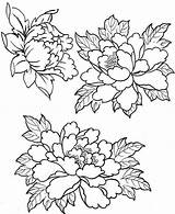 Peony Coloring Pages Patterns Embroidery Drawing Drawings Print рисунки Painting пионов Flower Tattoo рисунок Fabric для Peonies Silk Color Kids sketch template