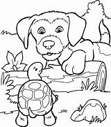 Dieren Hond Honden Moeilijke Uitprinten Kleur Platen Een Downloaden sketch template