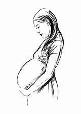 Pregnant Donne Vrouwen Enceintes Incinte Zwangere Vrouwe Drager Croquis Illustrazioni Illustratie sketch template