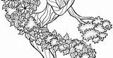 Tree Goddess Coloring sketch template