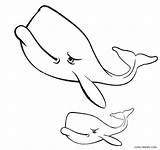 Whale Coloring Pages Printable Kids Cool2bkids sketch template