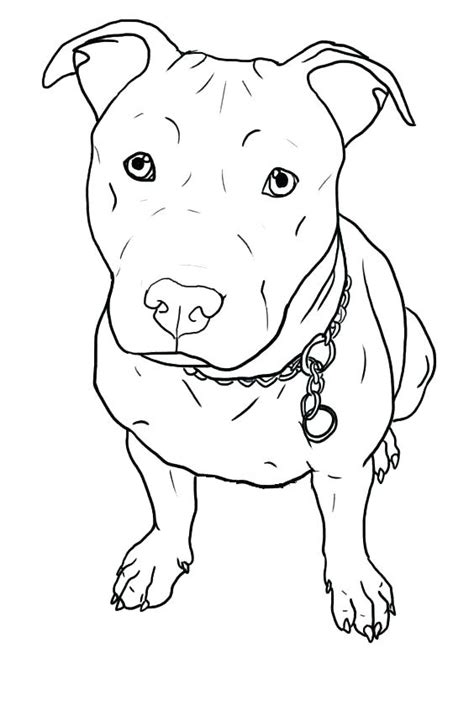 pitbull puppy coloring pages  getcoloringscom  printable