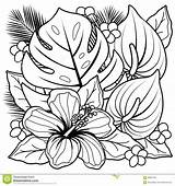 Coloring Pages Flower Exotic Printable Adult Inspiring Getcolorings Color Getdrawings sketch template