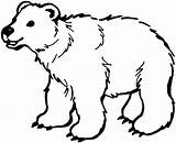 Bear Outline Cliparts Line Printable Cute Colour Draw Coloring sketch template