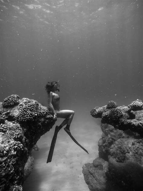 pin by kim kirgis on the photographs underwater photography underwater photos scuba diving
