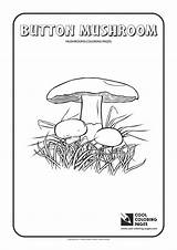Coloring Pages Cool Mushroom Mushrooms Button sketch template
