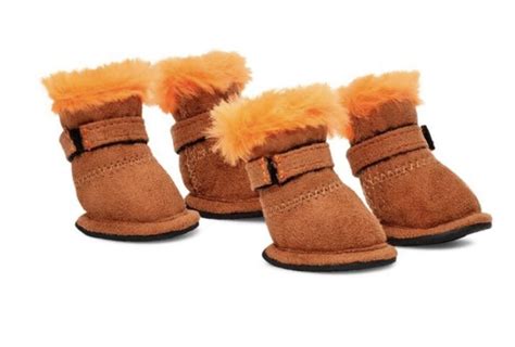 ugg  sells dog booties   cute comfy ultra soft sheknows