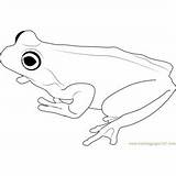 Frog Coloring Pages Tree Brown Amphibians Coloringpages101 Kids sketch template