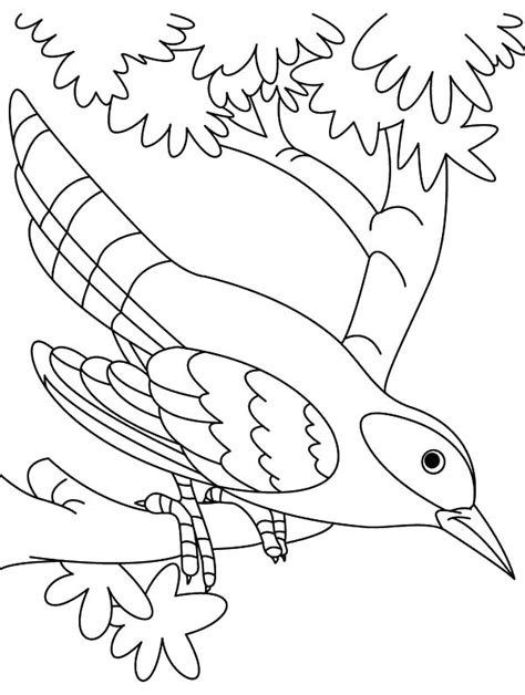 cuckoo bird  hungry coloring pages coloring sky bird coloring