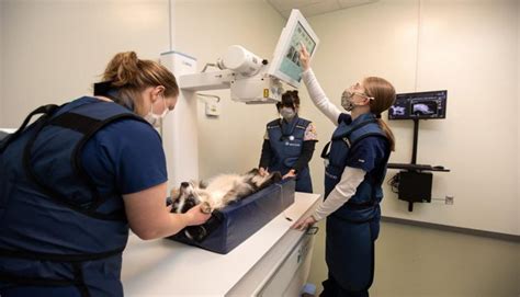 cutting edge veterinary technology examples