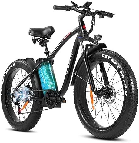 rurui electric bike   fat tire bike  vah battery   quick charger  bike
