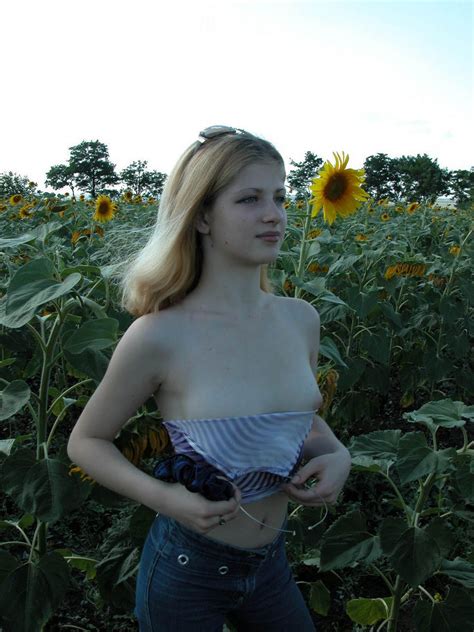 blonde teen posing in a field of sunflowers russian sexy girls