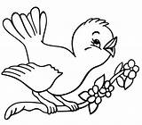 Bird Coloring Pages Birds Cuckoo Animals Knowing Kind Name sketch template