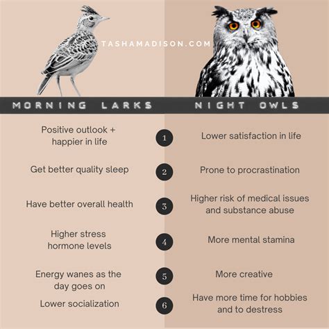 Night Owls Vs Morning Larks 6 Science Backed Distinctions