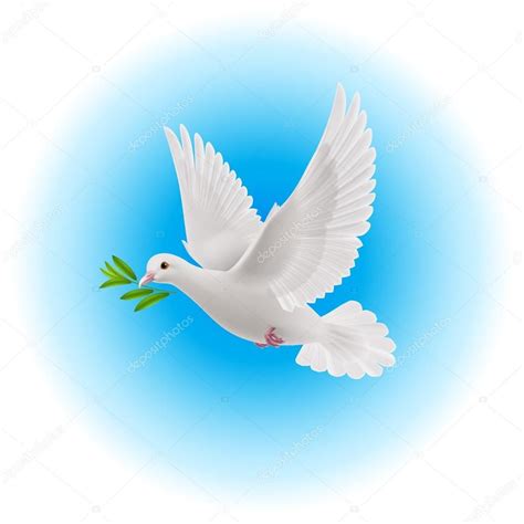paloma blanca volando  ramita verde en su pico en el cielo azul