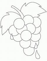 Uvas Weintrauben Ausmalbilder Grapes Ripe Grape Bestcoloringpages sketch template